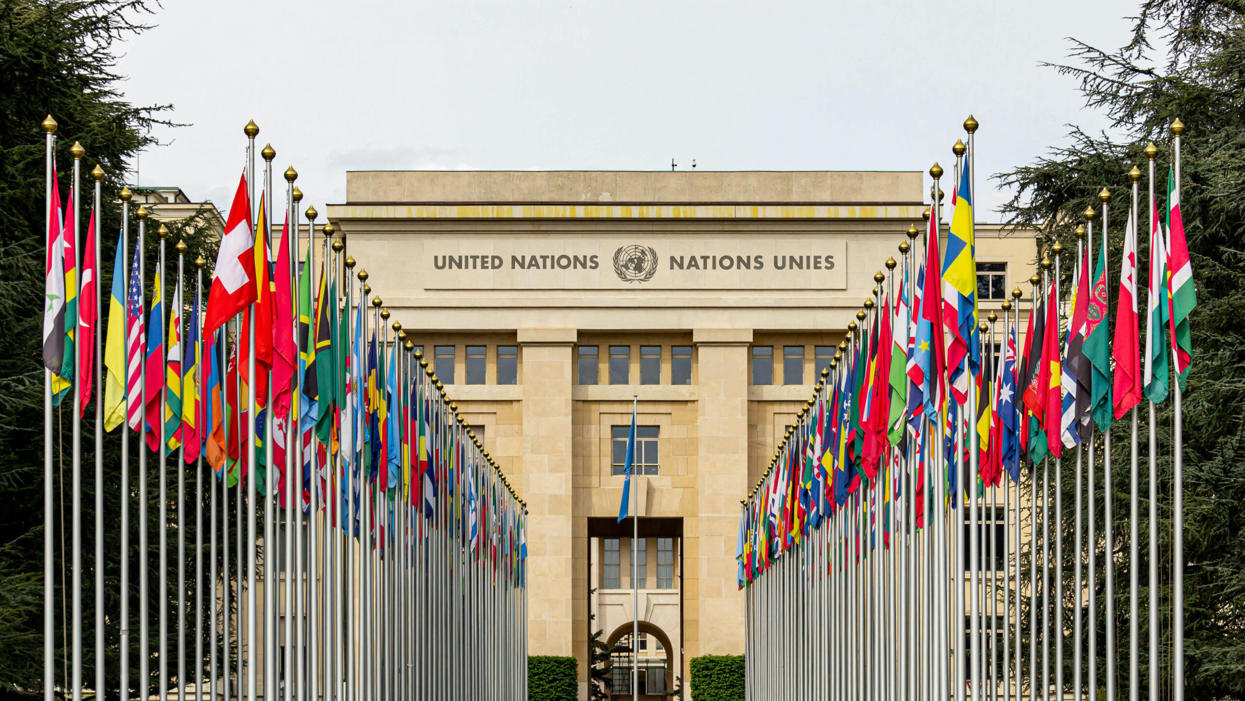 The UN, Not Israel, Should Be Erased and Rewritten
